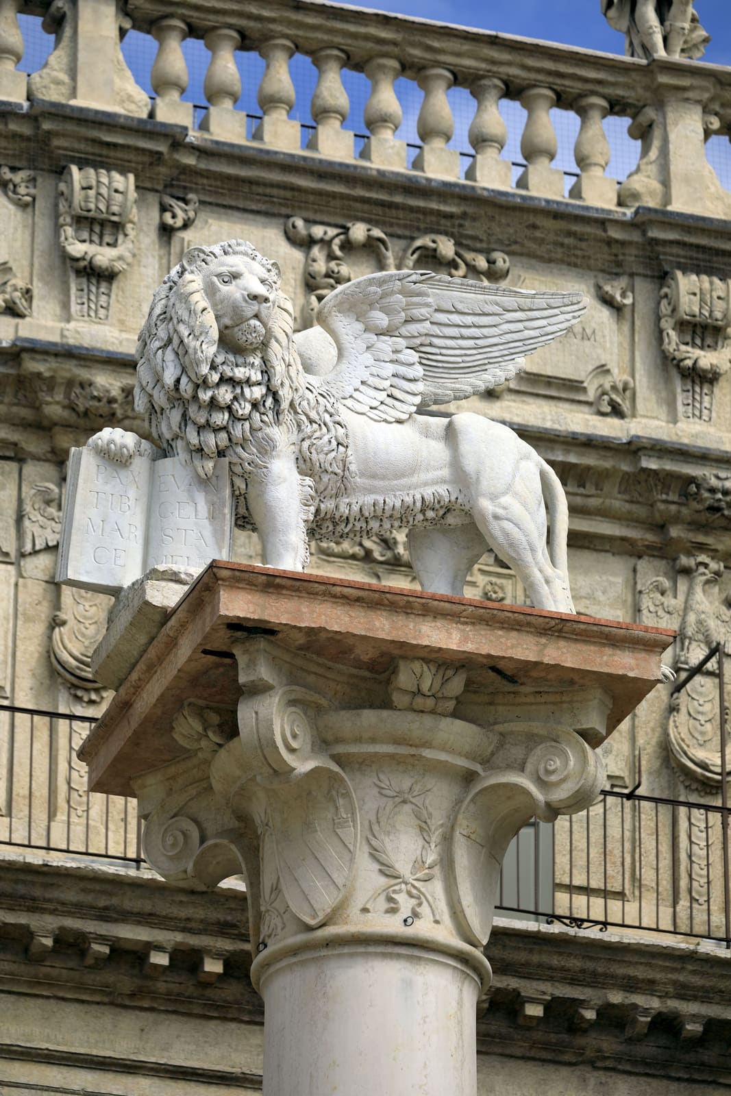 Piazza delle Erbe 2/2